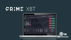 Explore the World of PrimeXBT Traders Strategies and Success