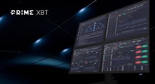 Explore the World of PrimeXBT Traders Strategies and Success