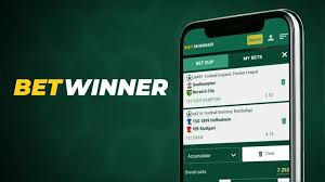 BetWinner Online Sportsbook Your Ultimate Betting Experience