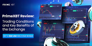 Exploring the PrimeXBT Online Trading Platform Exploring the PrimeXBT Online Trading Platform