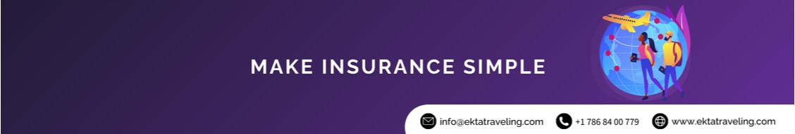 Understanding the Importance of Insurance Required for Visa Applications 754636832